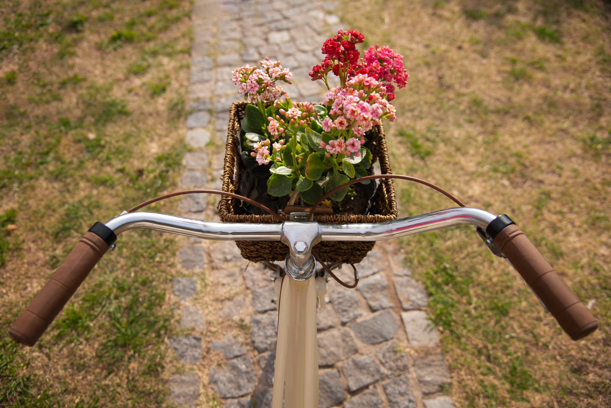 Fahrrad Nahaufnahme