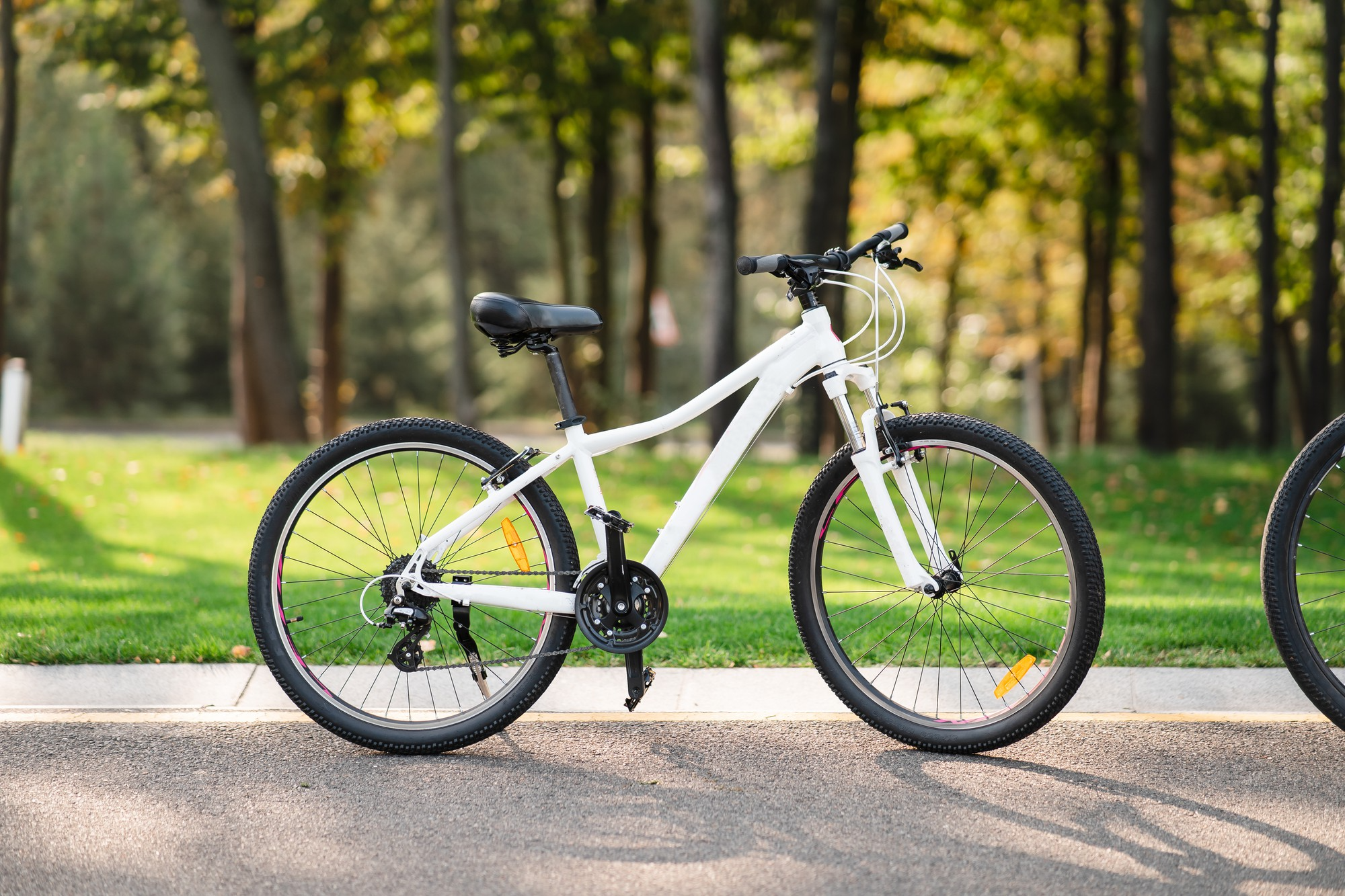 TrailFlow XC Mountainbike